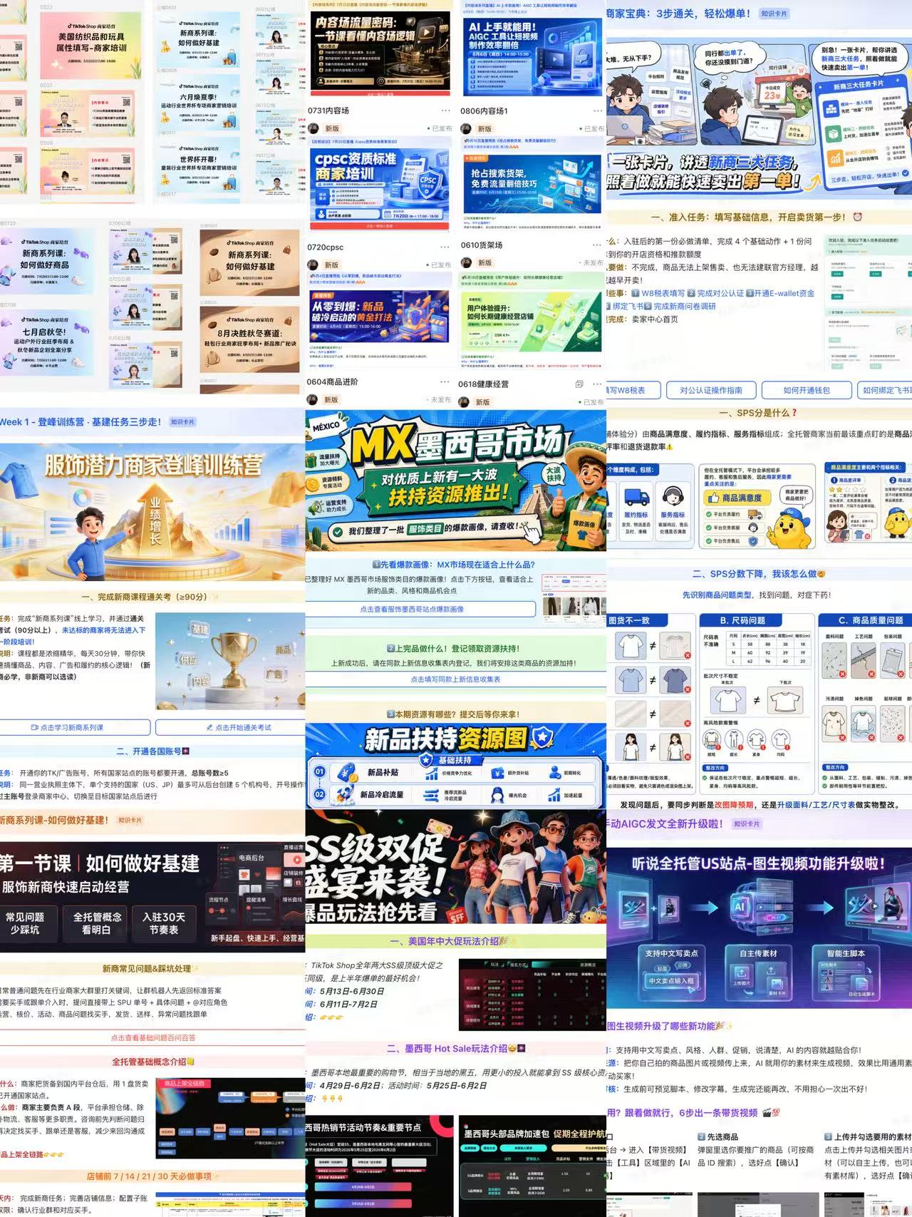TikTok Shop 作品 4